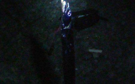 石津浜 ダイソージグで絶好調